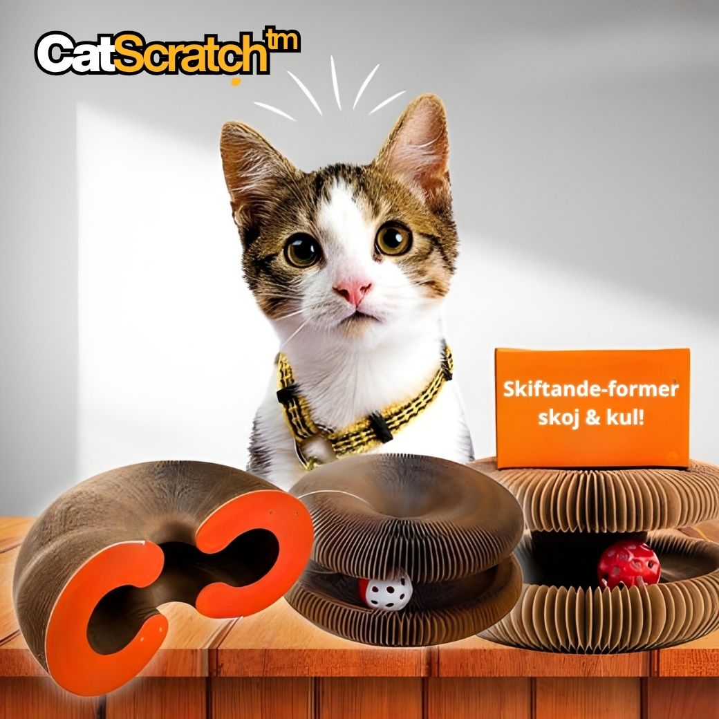 CatScratch™